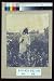 Photo Reprint Young African-American? girl, wearing long dress and bonnet, standing in field holding flowers 1900