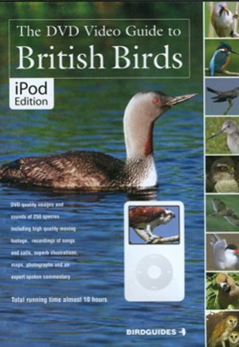 iPod DVD Guide British Birds