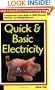 Quick & Basic Electricity : A Contractor's Easy Guide to HVAC Circuits, Controls, and Wiring Diagrams (Practical Is Good (P.I.G.) Technical Training Series)