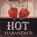 Hot Habaneros - Poster by Jennifer Pugh (12x12)