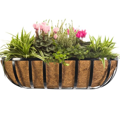 CobraCo HTR24-B 24-Inch English Horse Trough Planter, Black