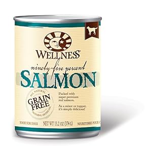 Wellpet Wellness Canned Dog Food for Adult 95% Salmon 13.2 oz cans / case of 12 Canned Food Wellpet Wellness Canned Dog Food for Adult 95% Salmon 13.2 oz cans / case of 12 Canned Food
