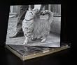 Talk to the Paw! Greeting Cards - Cat hair