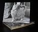 Talk to the Paw! Greeting Cards - Cat hair