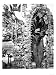 Detail of the Skeleton of a Capuchin Monk, Located in a Chapel of the Cemetery of the Capuchins Photographic Poster Print, 36x48