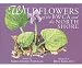 New Adventure Publications Inc Wildflowers Bwca & North Shore Detailed Full-Color Illustrations