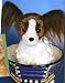 Plush Peppy Papillon 9
