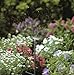 GARDENA 1365-U 360 Degree Spray Nozzle - Micro Drip System