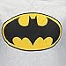 Batman Mens' Batman T-Shirt