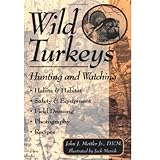 wild turkeys hunting and watching