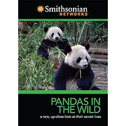 Smithsonian Channel: Pandas in the Wild