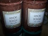 UPC 754870886744 product image for Lot of 2 Chesapeake Bay Hinoki Bonsai Scented Pillar Candle 3 X 4 Inches Each (S | upcitemdb.com