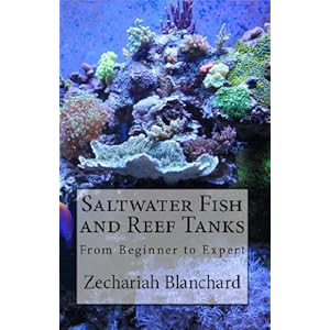 Saltwater Fish and Reef Tanks: From Beginner to Expert