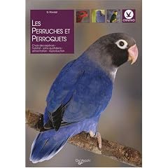 Les perruches et perroquets