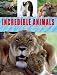 Search : Incredible Animals