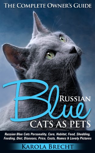 Russian Blue Cats as Pets.