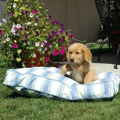 Snoozer Pool and Patio Rectangle Pet Bed, Large, Island Palm Snoozer Pool and Patio Rectangle Pet Bed, Large, Island Palm