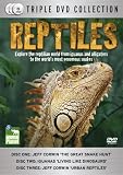 Reptiles