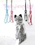 Skull Step-in-harness - Blue - Swarovski Crystals Dog harness