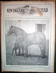 Book: 1926 New England Homestead Magazine Milking Machines - New England Homestead, Springfield, Mass
