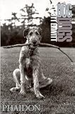 Dogdogs