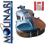Molinari 101SS-2 Value Priced 1/2 Size Student Violin with Super-Sensitive Strings