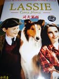 Lassie Come Home