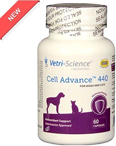 Antioxidant Advance 440 Caps 60 for Dogs & Cats