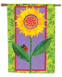 Toland, Bright Sun & Flower Standard Flag, 28 x 40, #107056