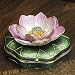 Pink Lotus Green Box