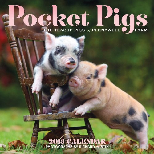 Pocket Pigs 2013 Wall Calendar: The Teacup Pigs of Pennywell Farm
