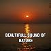 Beautiful Sounds Of Nature