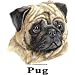 Pug Cordial - Shot Glass