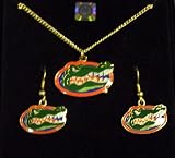 Florida Gators NCAA Pendant w/chain & Earring Gift Set