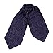 ERA1B01-03 Multi Paisley Cravat Woven Microfiber Mens Ascot Gift Ideas By Epoint