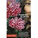 February Flowers