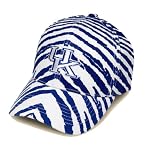 Striped Kentucky Wildcats Hat