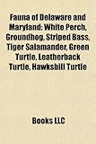Fauna of Delaware and Maryland: White Perch, Groundhog, Striped Bass, Tiger Salamander, Green Turtle, Leatherback Turtle, Hawksbill Turtle-
