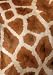 Kitchen & Housewares : Go Stationery A5 notebook Giraffe Skin