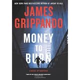 Money to Burn: A Novel of Suspense