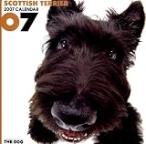 Scottish Terrier 2007 Calendar (Artlist Collection: The Dog)