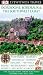 DK Eyewitness Travel Guide: Dordogne, Bordeaux ...