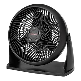 fan/