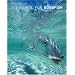 Fly Fishing for Bonefish, New and Revised
