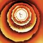 Songs in the Key of Life [Vinyl]