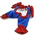 Alfie Pet by Petoga Couture - Superhero Costume Spiderman - Size: S