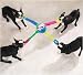 Zanies "TufOf4" Ball - Tug of War Dog Toy