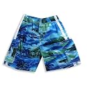 Dogwood - Boys Swim Suit, Blue, Green