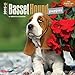 Basset Hound Puppies 2015 Small Wall Calendar