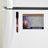 Turner Minnesota Vikings Magnetic To Do Notes, 4 Pack (8730210)